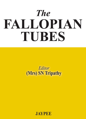 the-fallopian-tubes