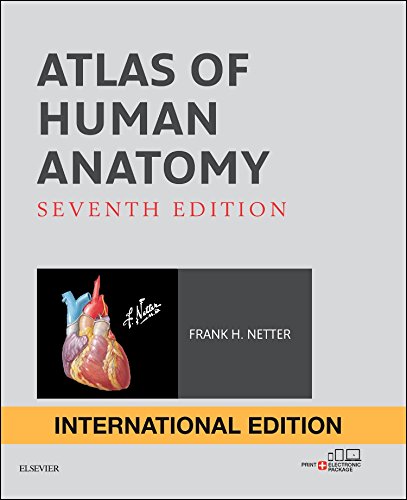 atlas-of-human-anatomy-international-edition-7e