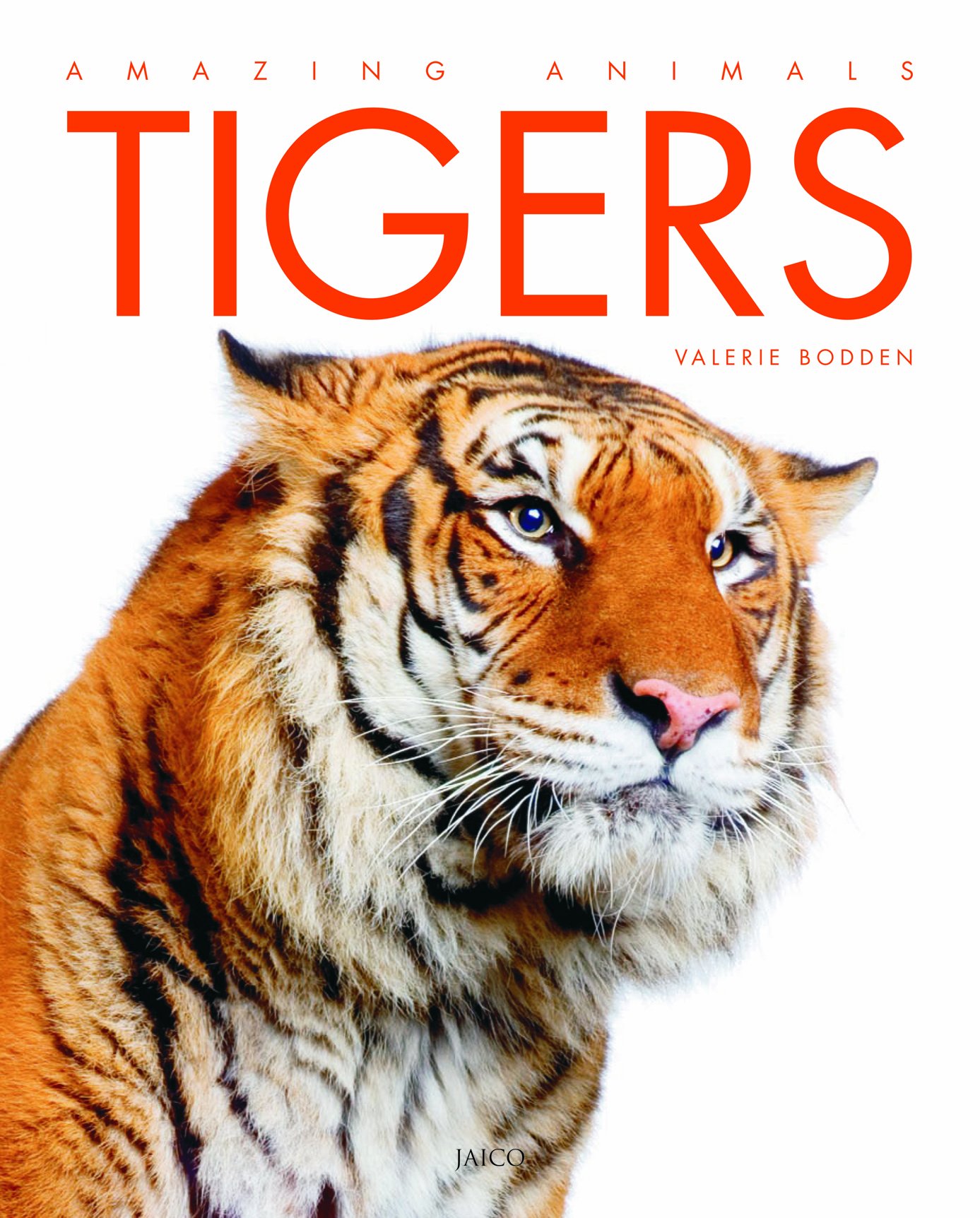 tigers