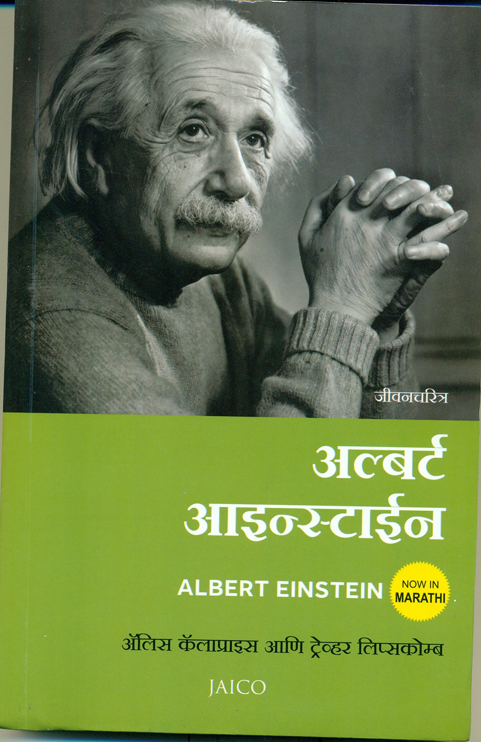 albert-einstein-marathi