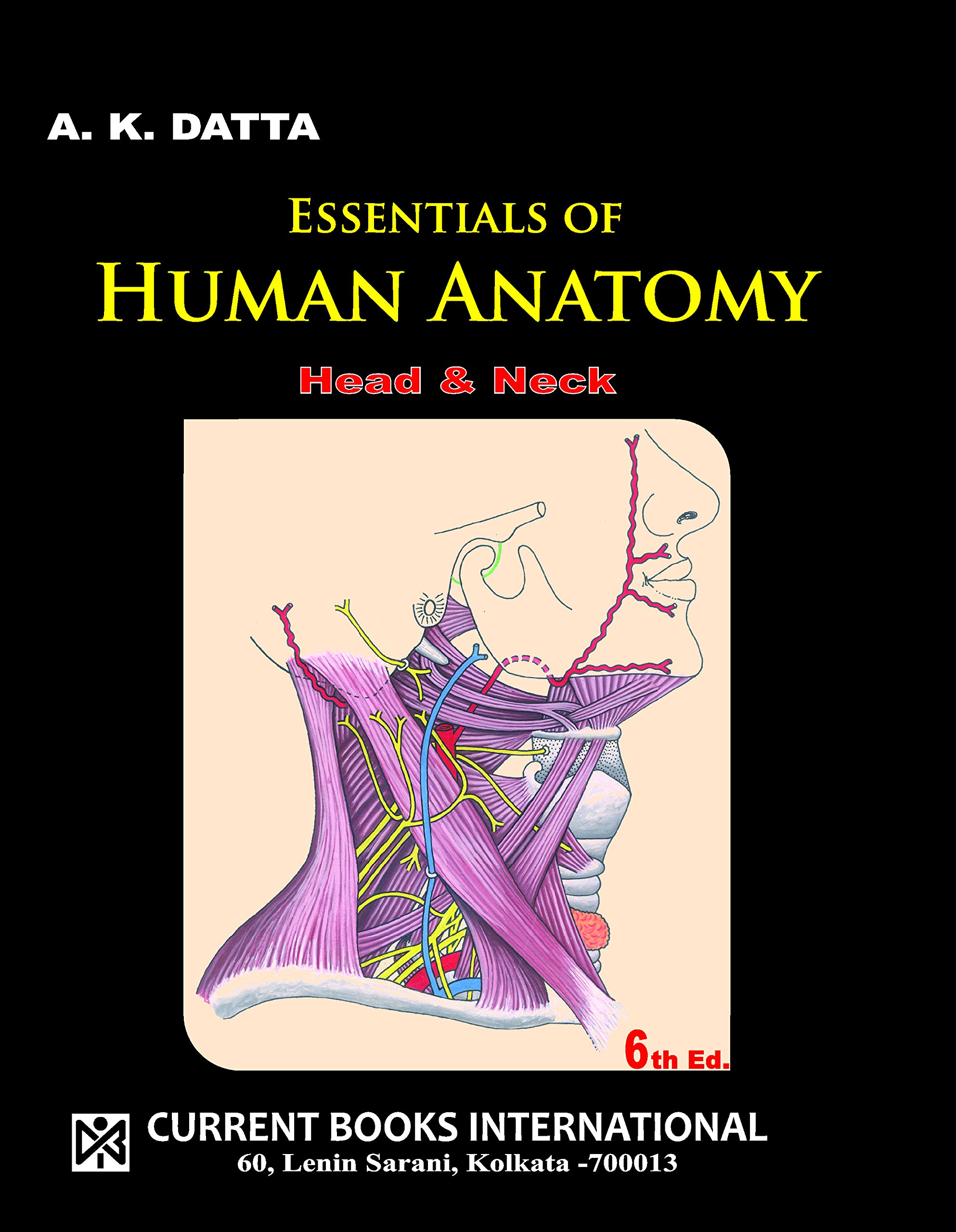 essentials-of-human-anatomy-head-neck-volume-2-6th-edition